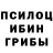 Псилоцибиновые грибы Cubensis A.M. Khissamov