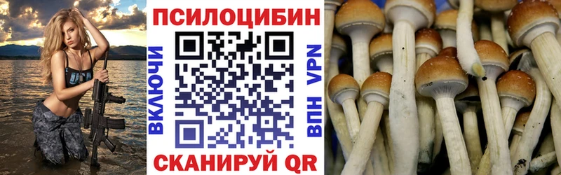 Купить  Дюртюли  Псилоцибиновые грибы мухоморы 